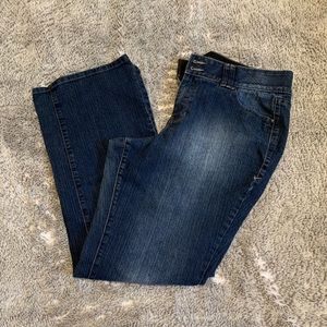 Lane Bryant Jeans